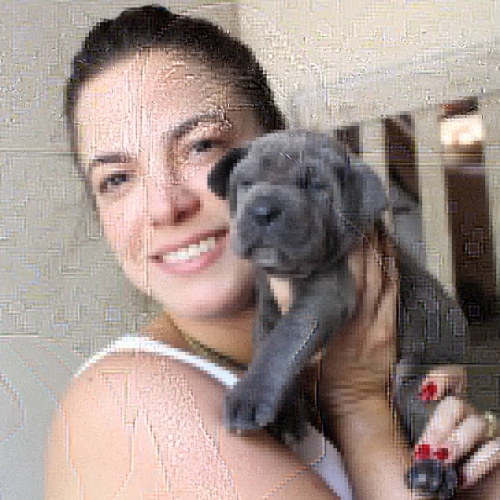 Fotos Ninhada